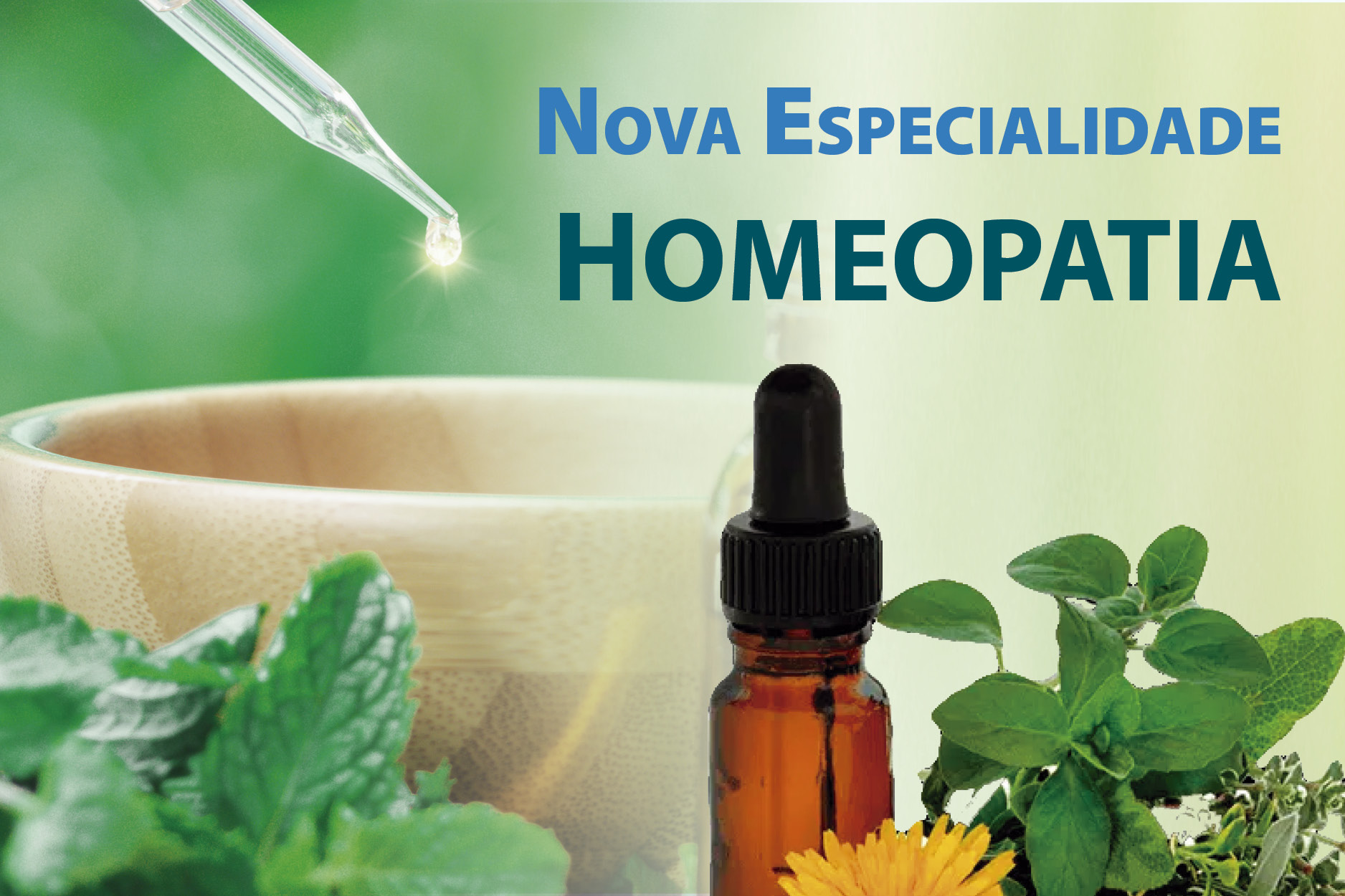 Você está visualizando atualmente Homeopatia